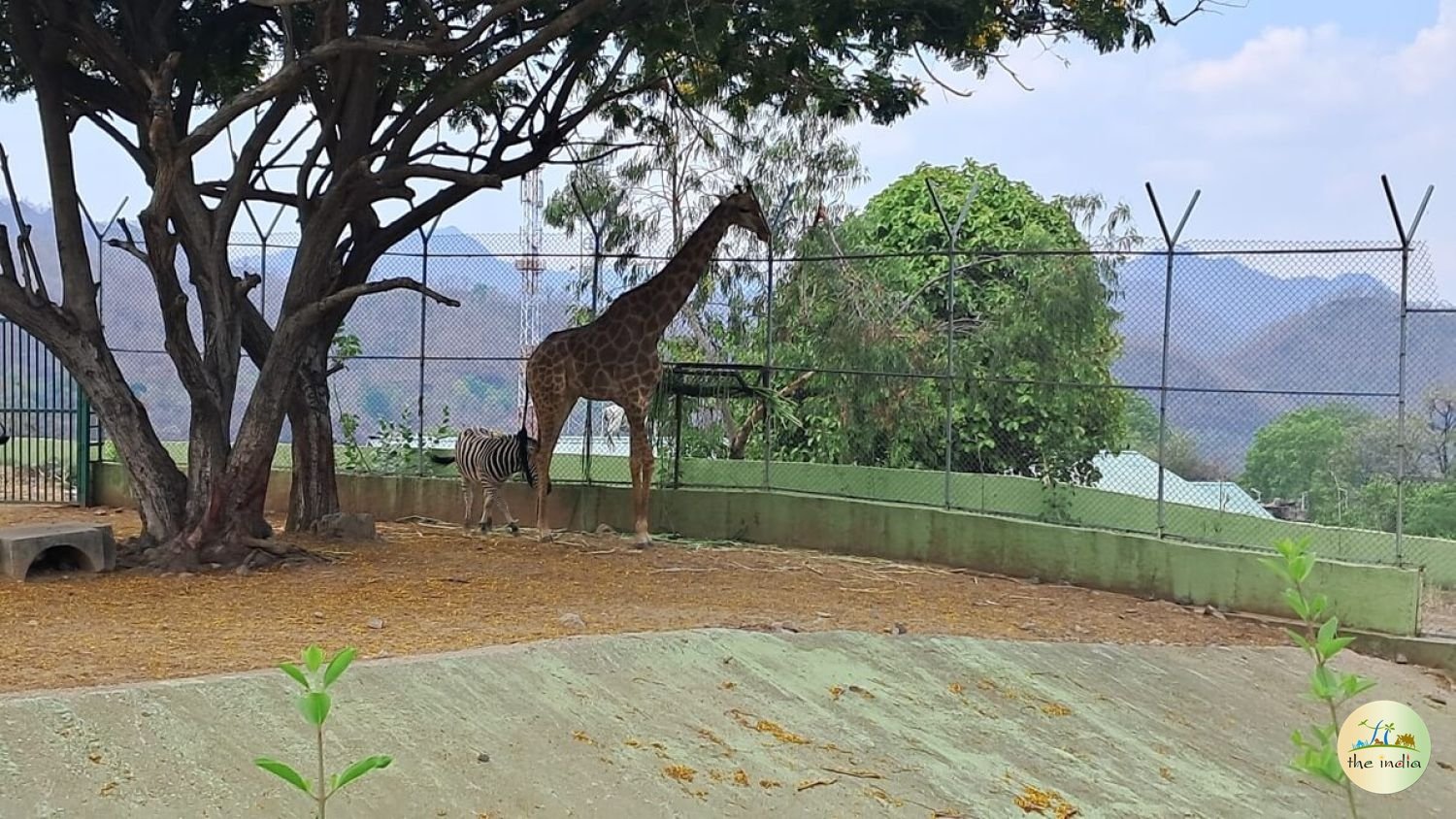 Sardar Patel Zoological Park in Kevadia
