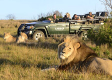 Seaview Predator Park in Port Elizabeth