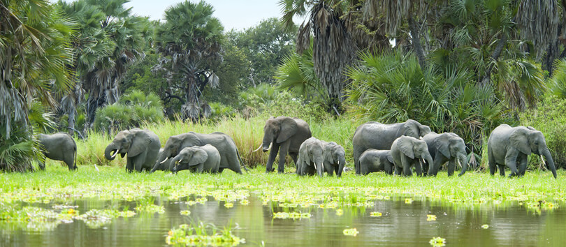 Selous Game Reserve