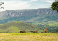 Serra Da Canastra National Park in Minas Gerais