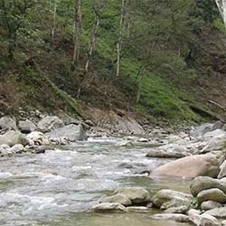 Sewaro Rock Garden in Pelling