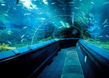 Shanghai Ocean Aquarium in Shanghai