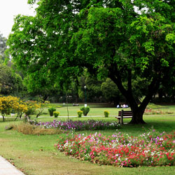 Shanti Kunj Garden in Chandigarh