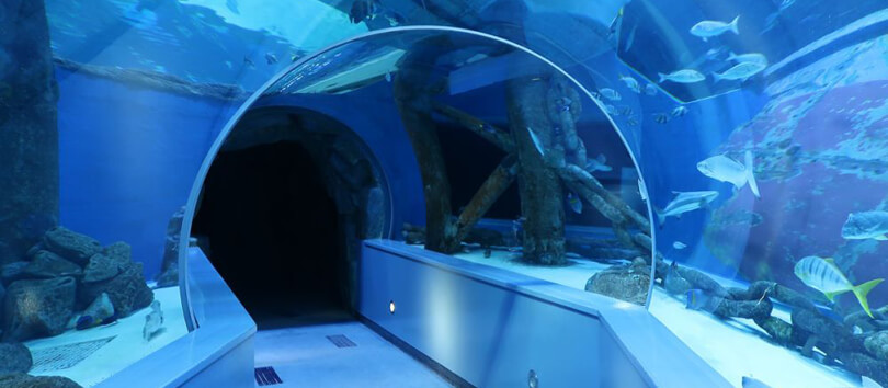 Sharjah Aquarium