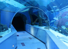 Sharjah Aquarium in Sharjah