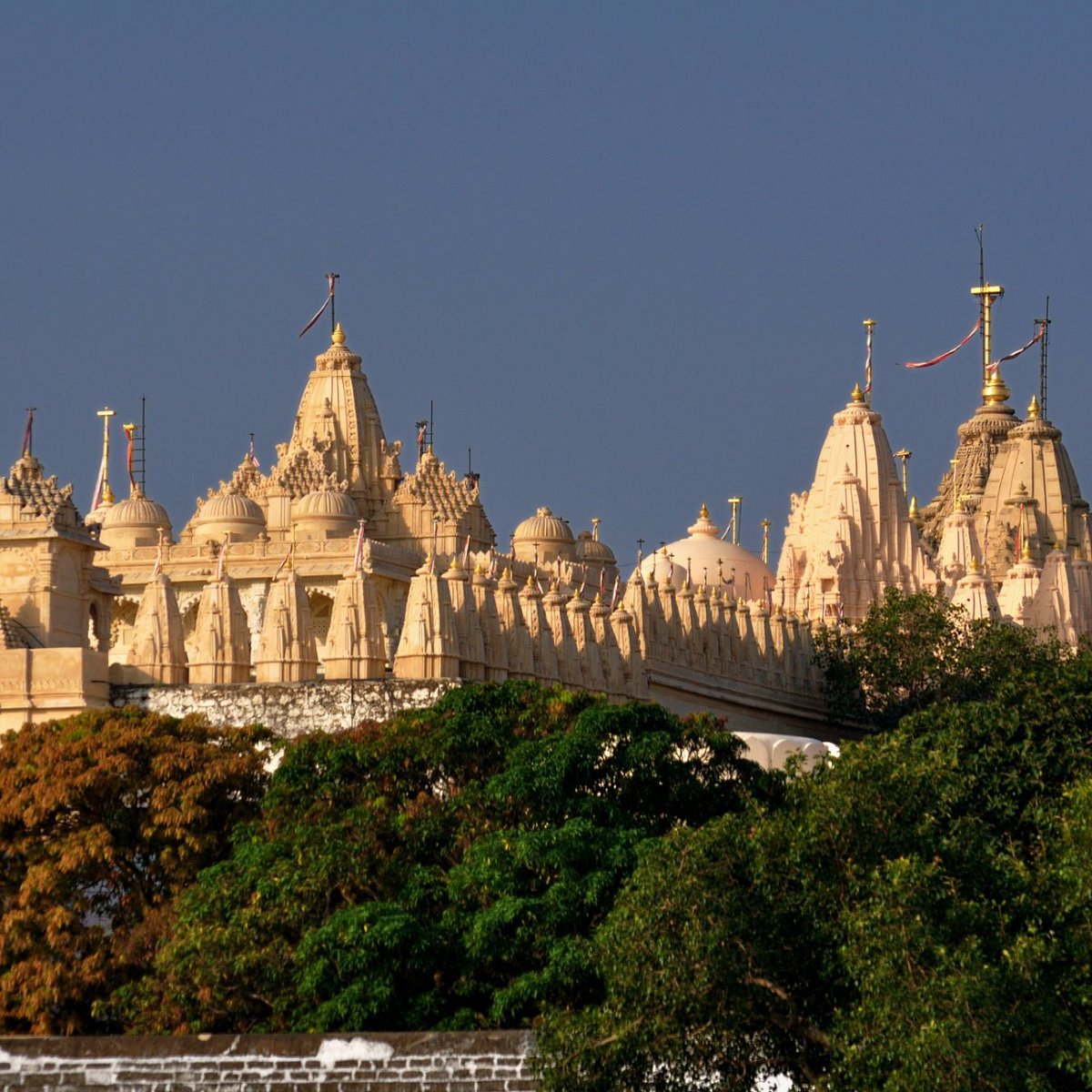 Shatrunjaya Hill Temples in Palitana