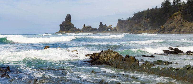 Shi Shi Beach