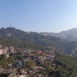 Summer Hill in Shimla