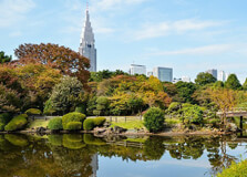 Shinjuku Gyoen in Tokyo