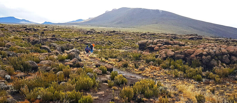 Shira Plateau