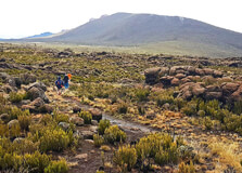 Shira Plateau in Kilimanjaro