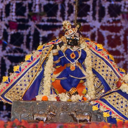 Shri Radha Raman Temple Vrindavan in Vrindavan
