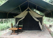 Siana Springs Conservancy in Masai Mara