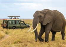 Sibiloi National Park in Marsabit