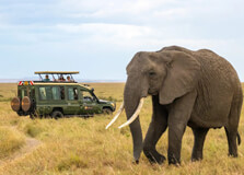 Sibiloi National Park in Nairobi