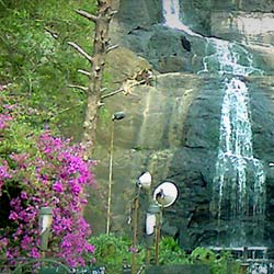 Silver Cascade Falls in Kodaikanal