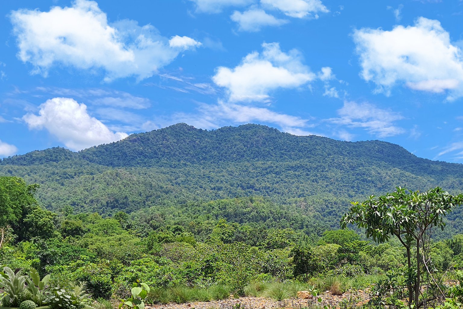 Similipal Tiger Reserve