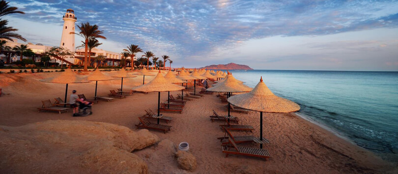 Sinai Peninsula Desert