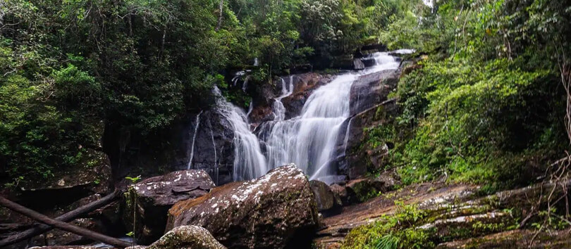 Sinharaja Forest Reserve