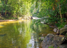 Sinharaja Forest Reserve in Galle