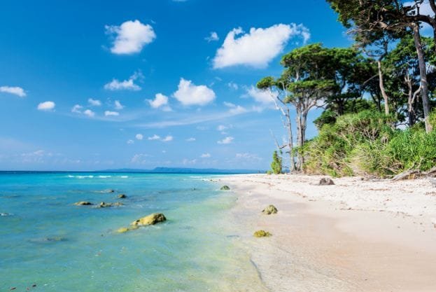 Sir Hugh Rose Island in Andaman