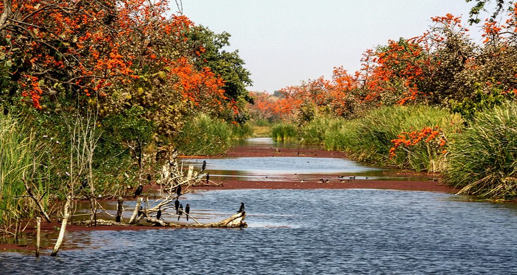 Sita Mata Wildlife Sanctuary