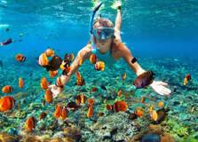 Snorkelling in Phu Quoc in Phu Quoc Island
