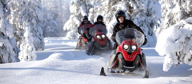 Snowmobile Safari