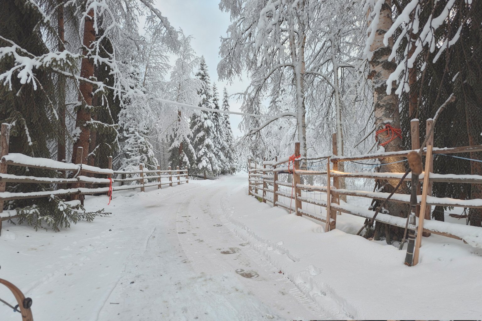 Snowmobile Safari