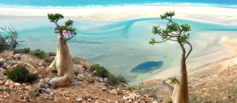 Socotra National Park