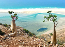 Socotra National Park in Socotra Island