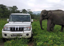 Sonai Rupai Wildlife Sanctuary in Tezpur