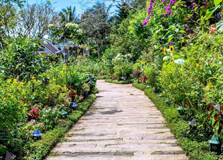 Sonya Garden in Tagaytay