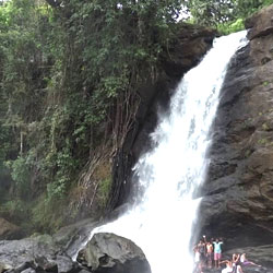Soochipara Waterfalls in Wayanad