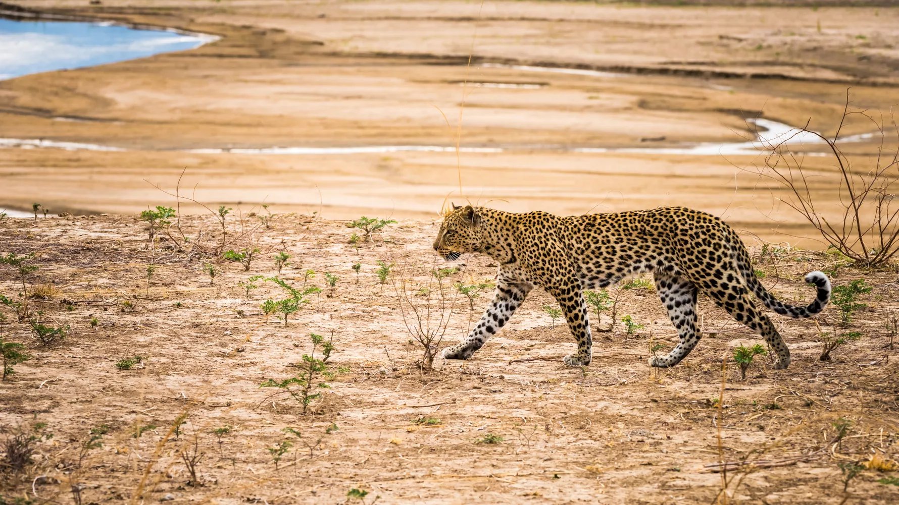 Best Places to Visit in Zambia
