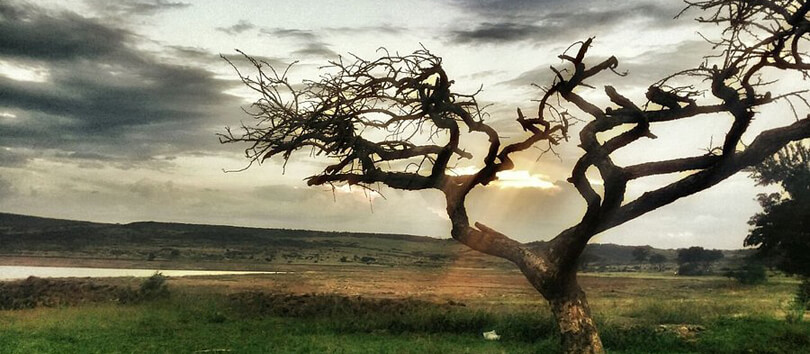 Spioenkop Dam Nature Reserve