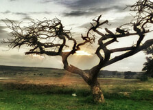 Spioenkop Dam Nature Reserve in Kwazulu Natal