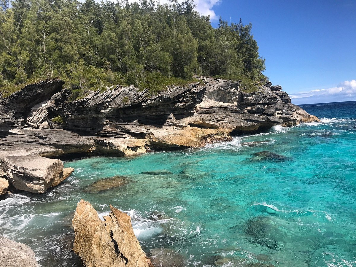 Spittal Pond Nature Reserve in Hamilton Bermuda