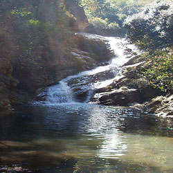 Spread Eagle Falls in Shillong