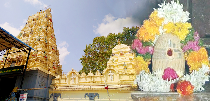 Sri Malleswara Swami Temple, Peda Kakani