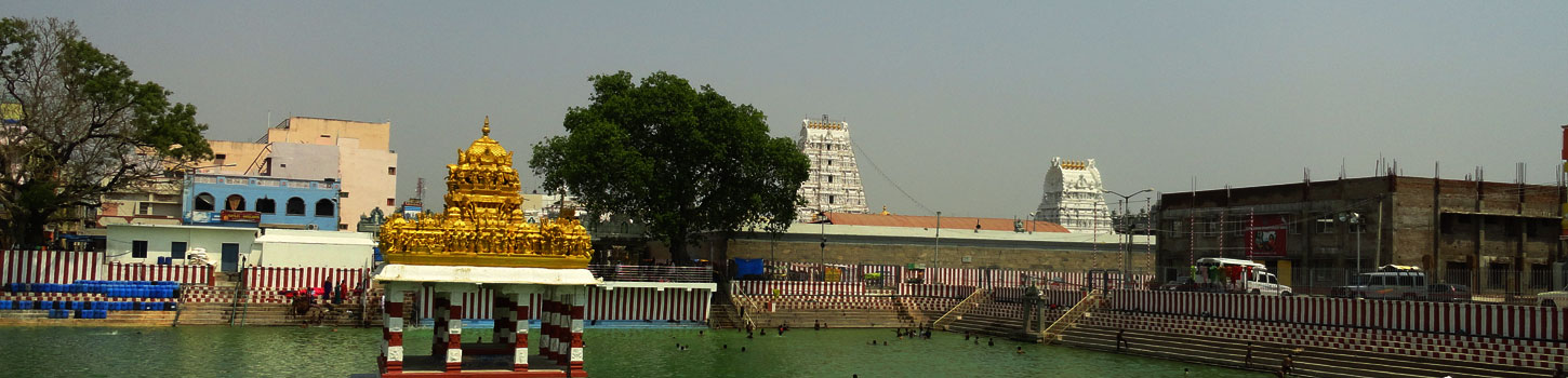 Sri Padmavathi Ammavari Temple
