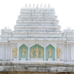 Sri Veda Narayanaswami Temple in Tirupati