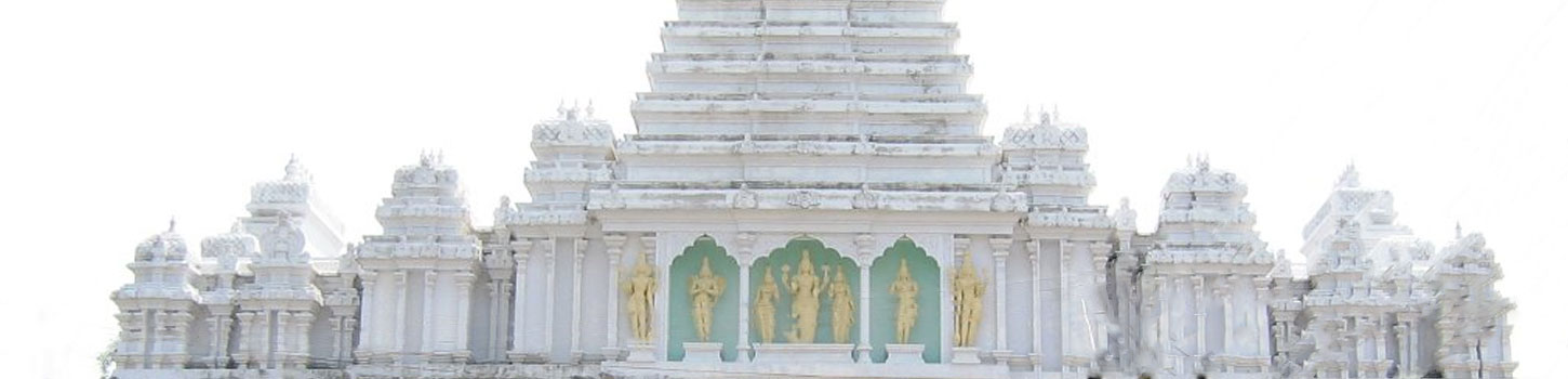 Sri Veda Narayanaswami Temple