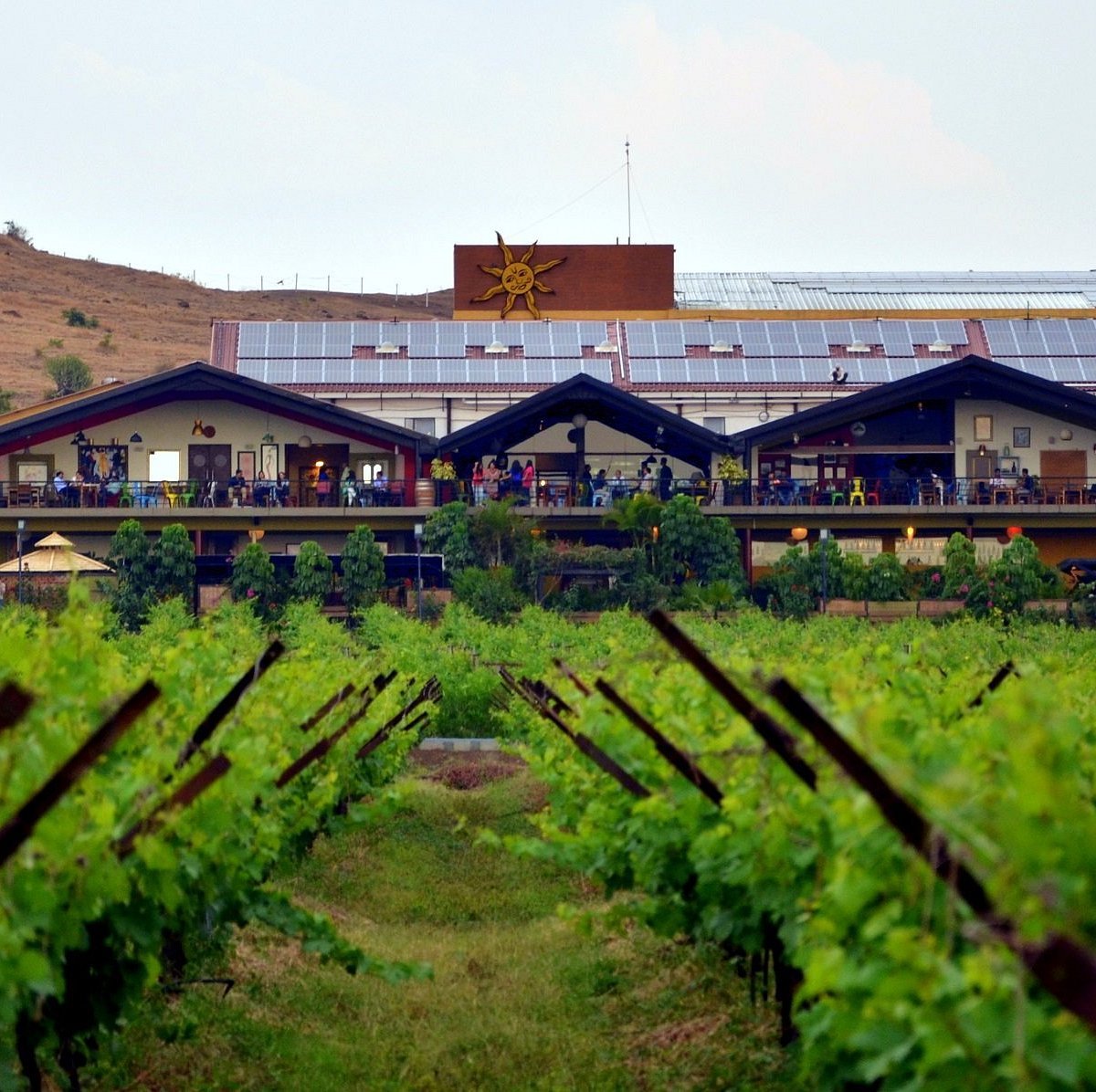 Sula Vineyards in Nashik