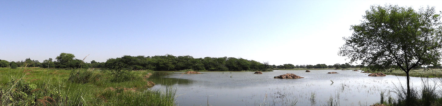 Sultanpur National Park