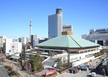 Sumo Museum in Tokyo