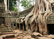 Ta Prohm