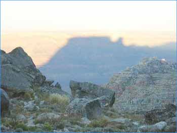 Tafelberg in Western Cape