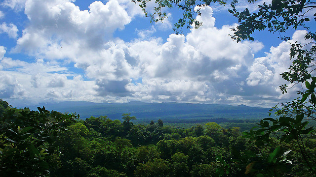 Tafua Peninsula Rainforest Preserve in Savaii Island