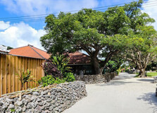 Taketomi Island in Okinawa